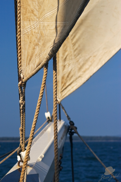 Sails